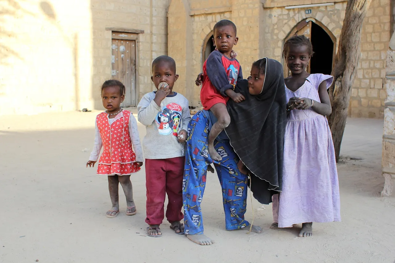 Sahel crisis could spread to Europe, UN envoy in Mali warns