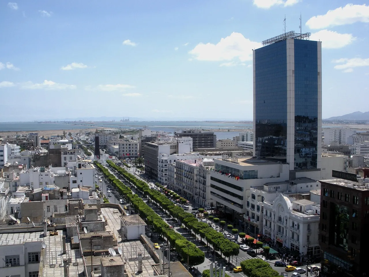 Tunisia elections