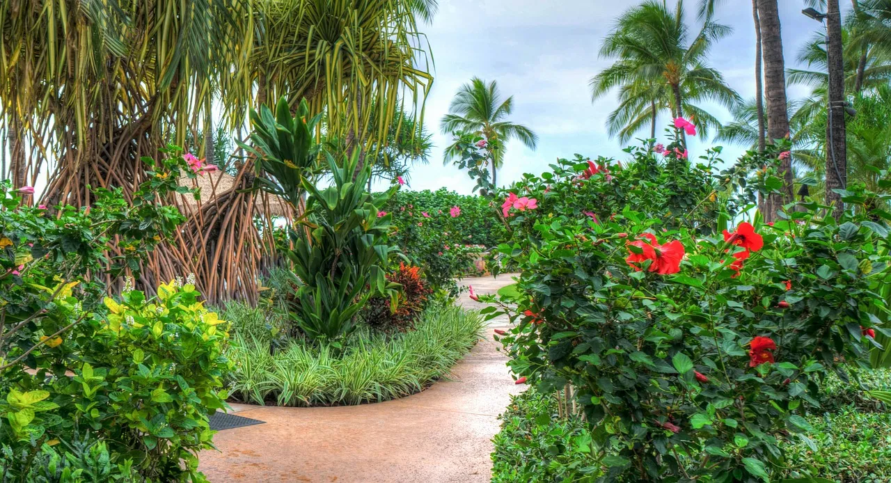Marriott to add 40 new properties across Africa by 2023