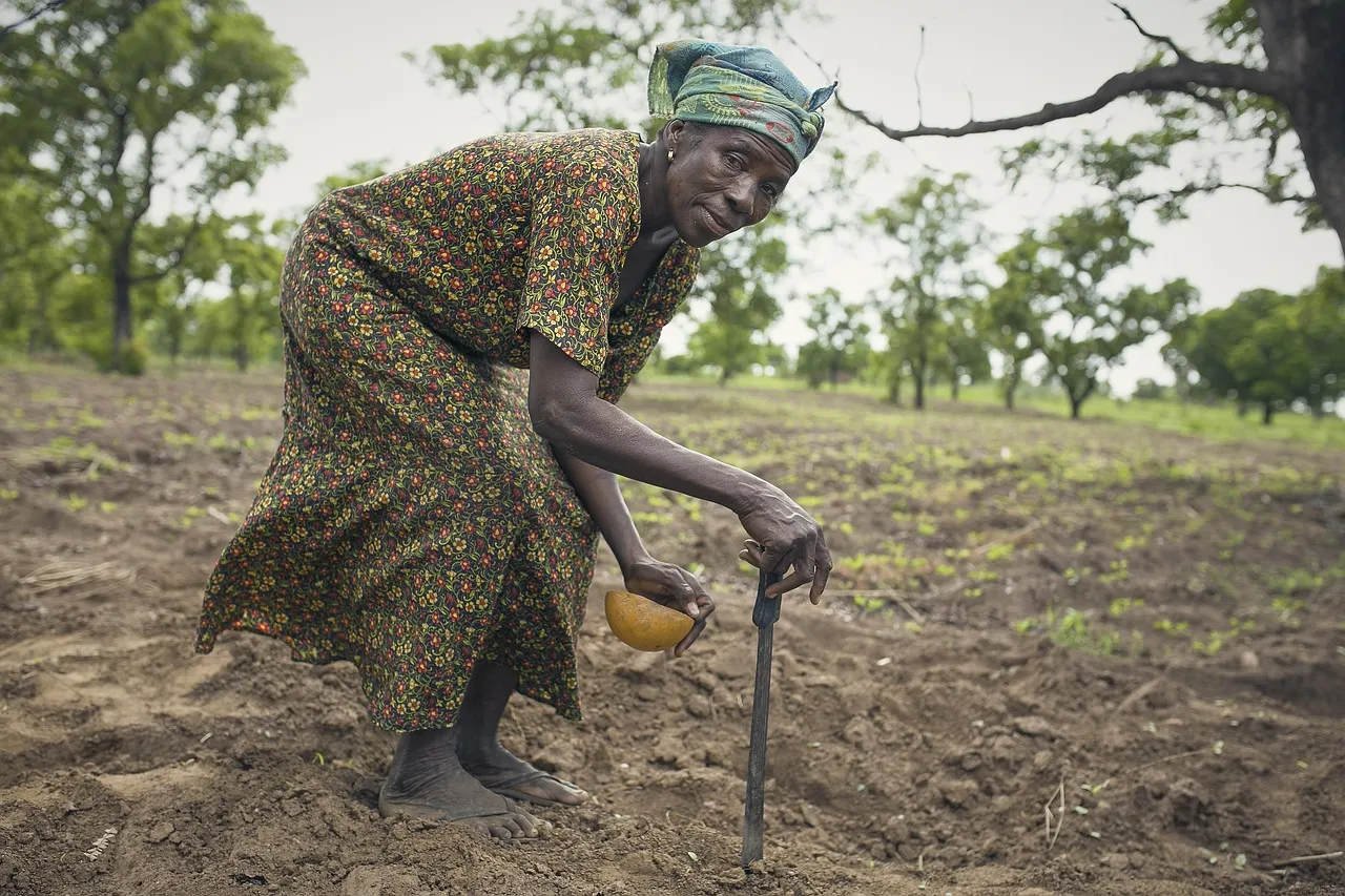Thabo Dithakgwe South Africa’s youngest farmer.