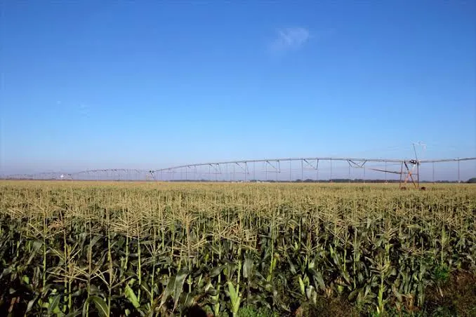 White farmer killed as land grabs intensify in South Africa