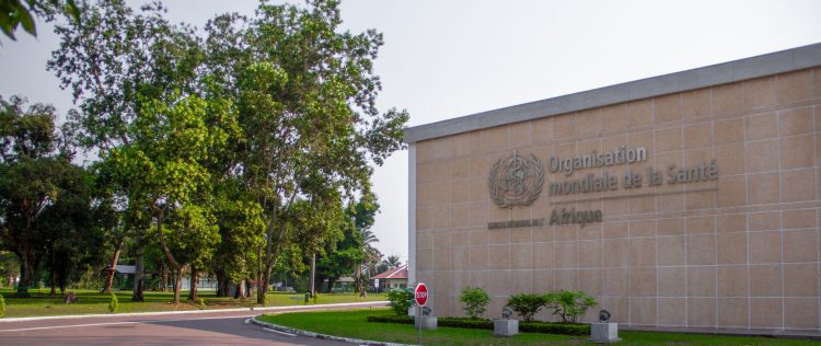 WHO Africaâ€™s 47 health ministers discuss malnutrition in Brazzaville