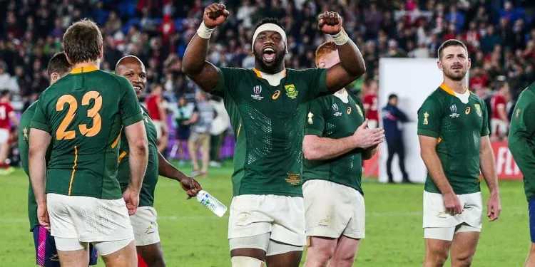 Rugby World Cup: SABC to broadcast Springboks Vs England final