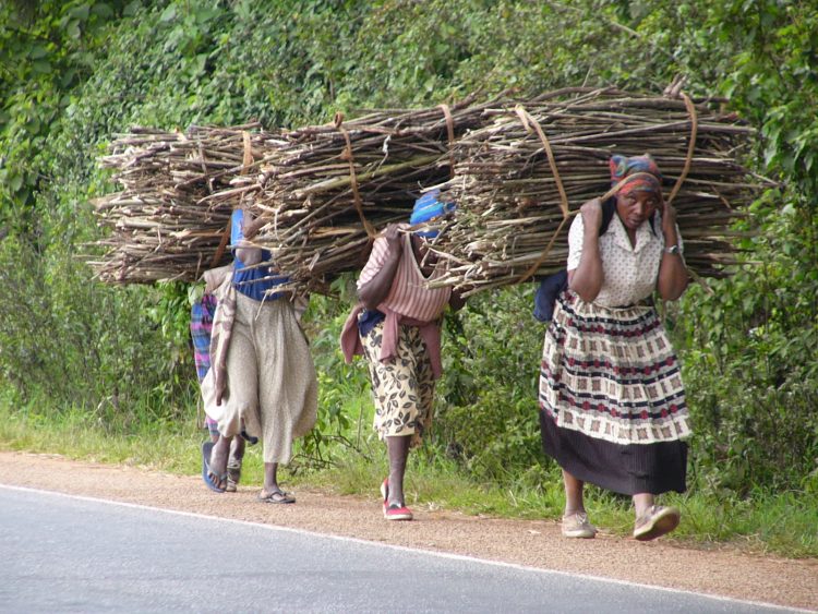 Women shoulder burden of unpaid work: International Monetary Fund