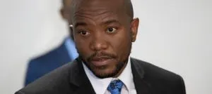 Malema: Ramaphosa was the force behind Mmusi Maimane's downfall -not Hellen Zille